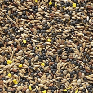 canary seed Petworld.ie