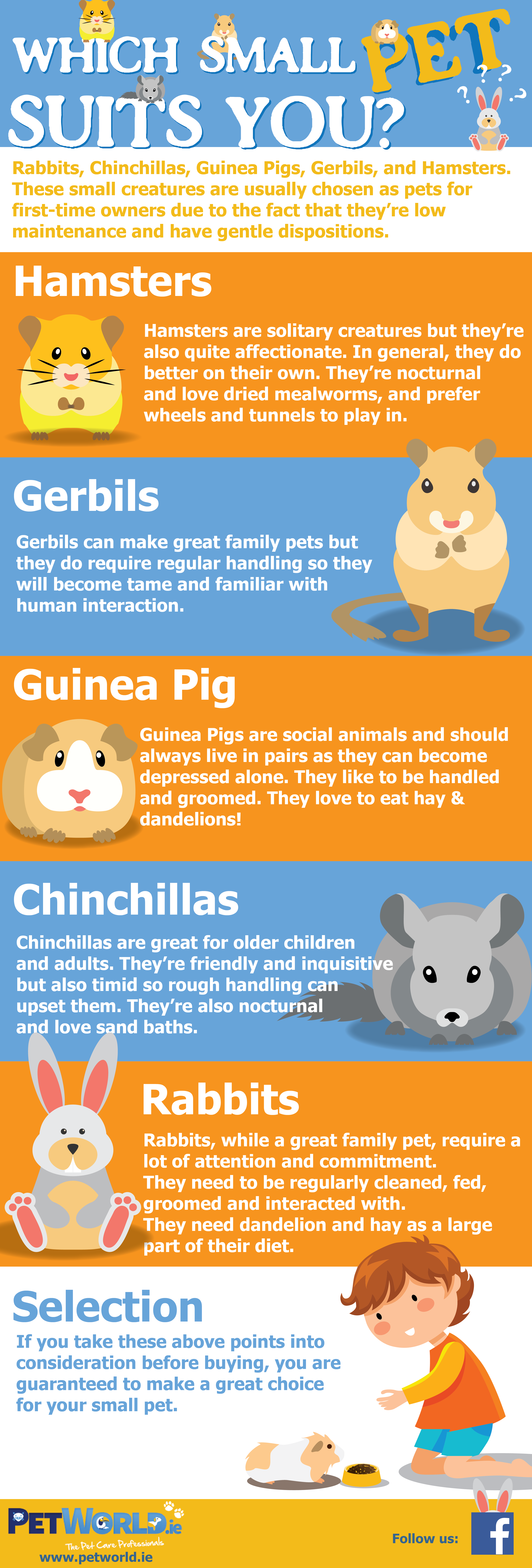 which small pet suits you infographic