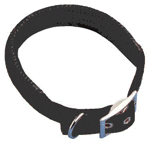 Black Padded Dog Collar Petworld ireland