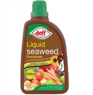 Liquid Seaweed Concentrate 1 lItre by Doff Petworld Ireland