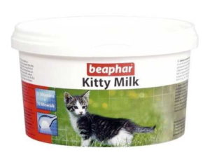 kitten milk ireland 1