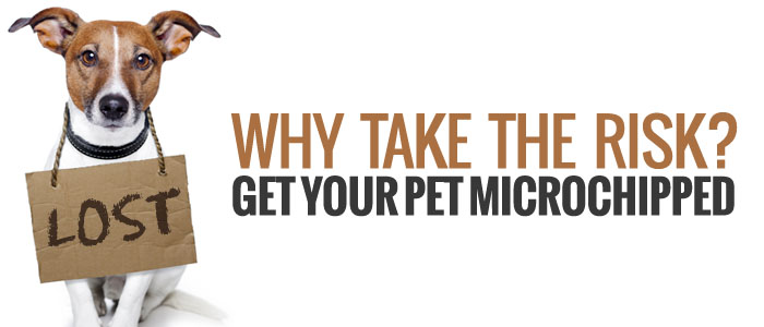 get your pet microchipped