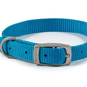 blue ancol nylon dog collar