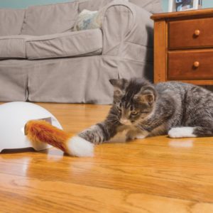 Fox Den Toy Automatic Cat Teaser