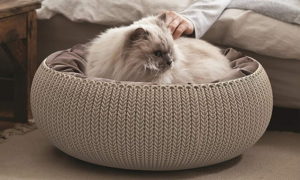 keter pet bed for cats