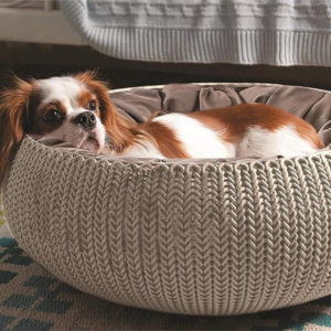 keter pet bed for dog