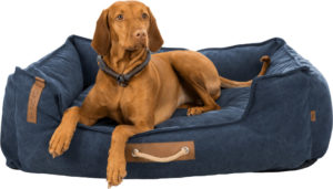 BE NORDIC Bed Fohr Dark Blue with dog