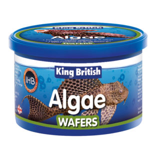 king British algae wafers