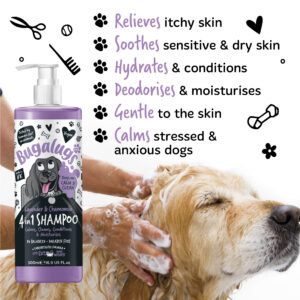 Bugalugs Lavender 4 in 1 Shampoo Dog wash paw points